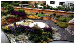 Green Roofing